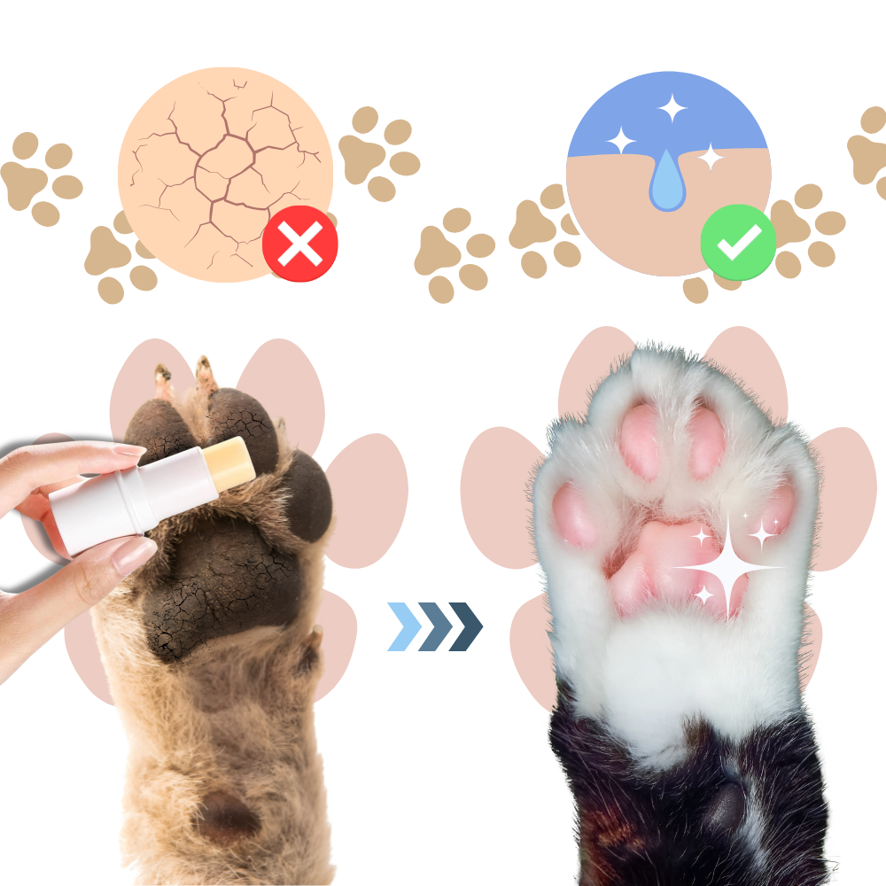 Baume apaisant pour coussinets d'animaux