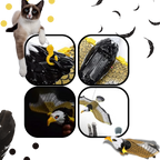 Simulated Flying Bird Cat Toy