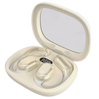 Smart AI Translation Earbuds