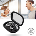 Smart AI Translation Earbuds