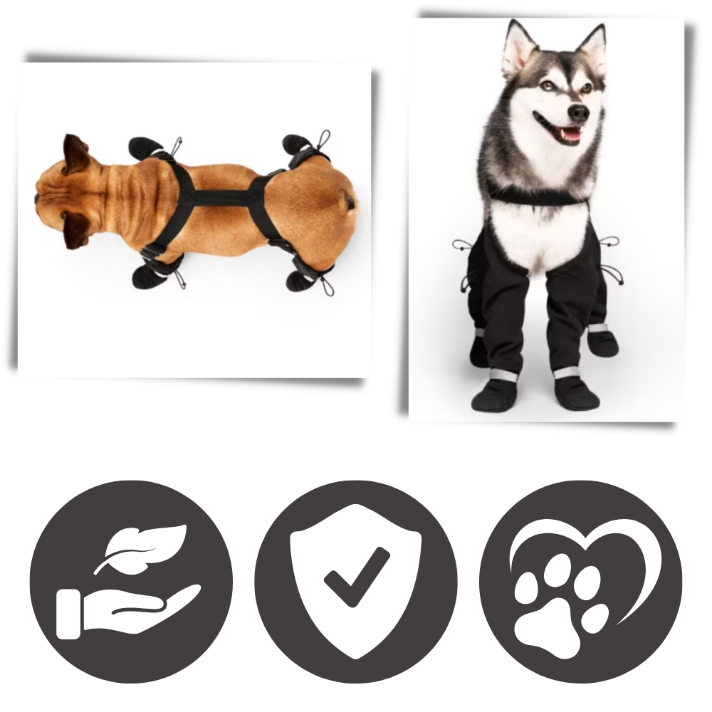 Bottes à bretelles imperméables pour chiens