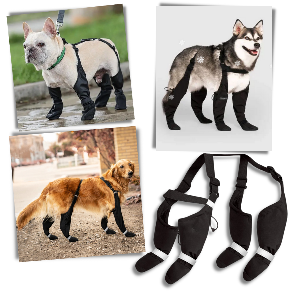 Bottes à bretelles imperméables pour chiens