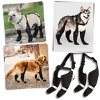 Bottes à bretelles imperméables pour chiens