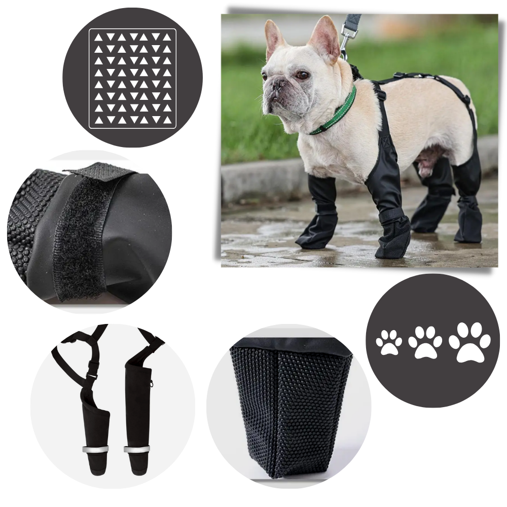 Bottes à bretelles imperméables pour chiens