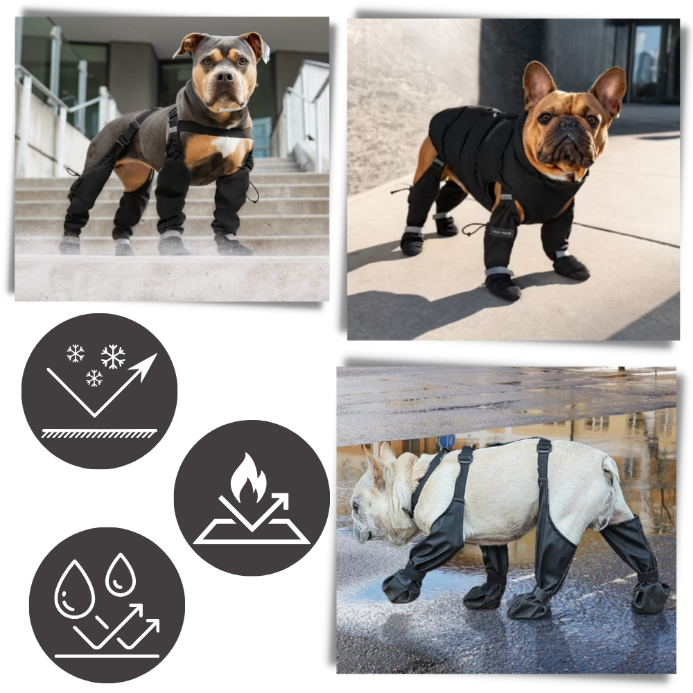 Bottes à bretelles imperméables pour chiens
